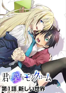 Kimi ni Somaru Monochrome