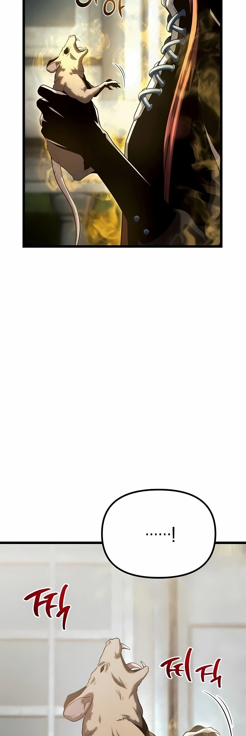 Página 43